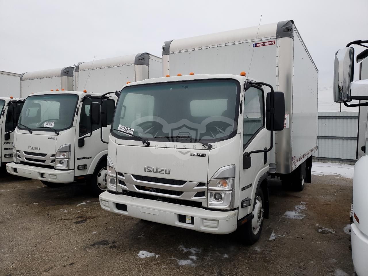 Isuzu NPR 6.6L 8 2024