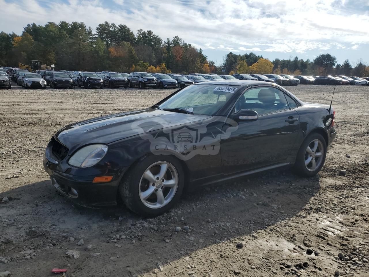 Mercedes-Benz SLK 320 3.2L 6 2004