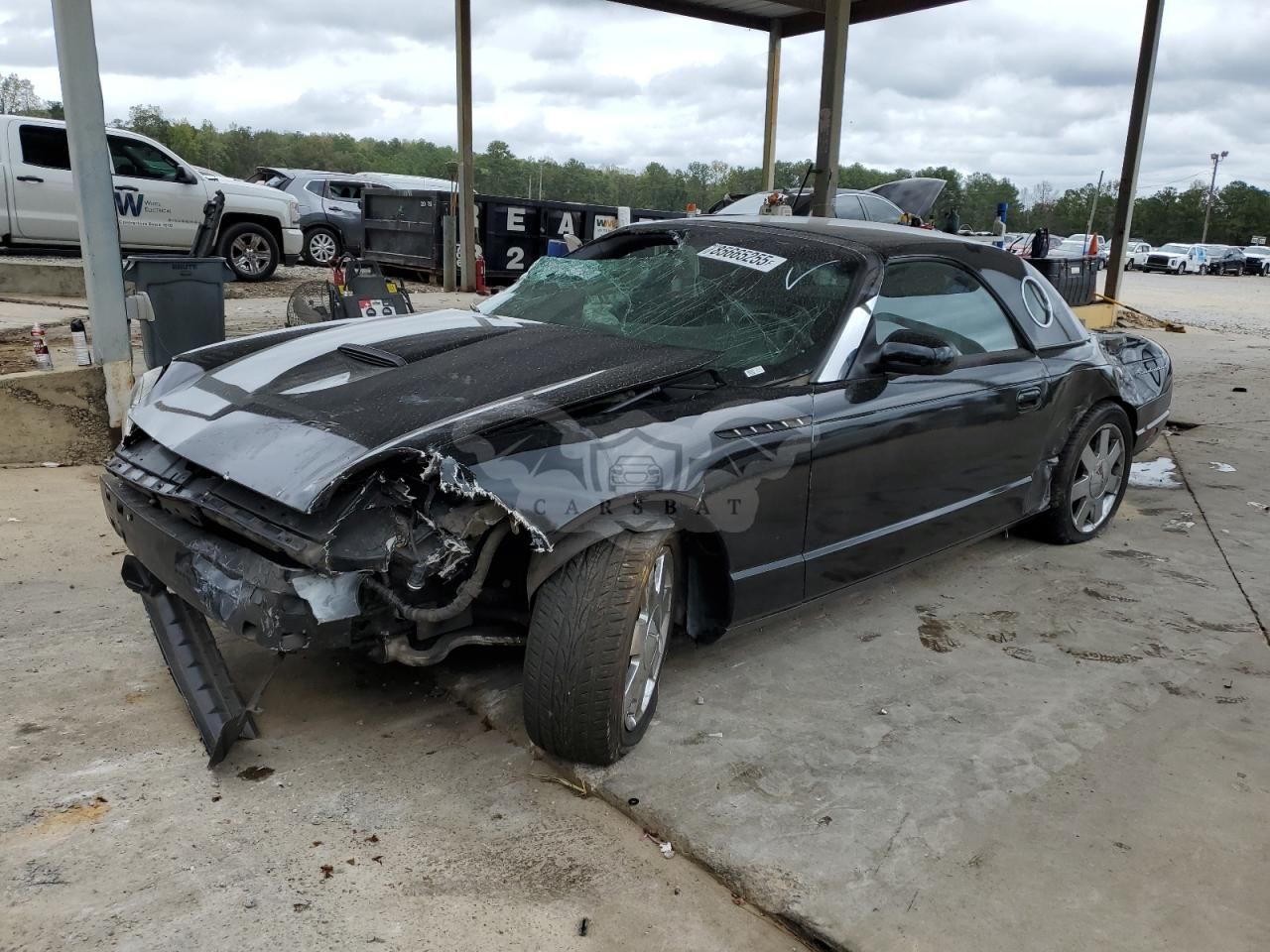 Ford Thunderbird 3.9L 8 2002