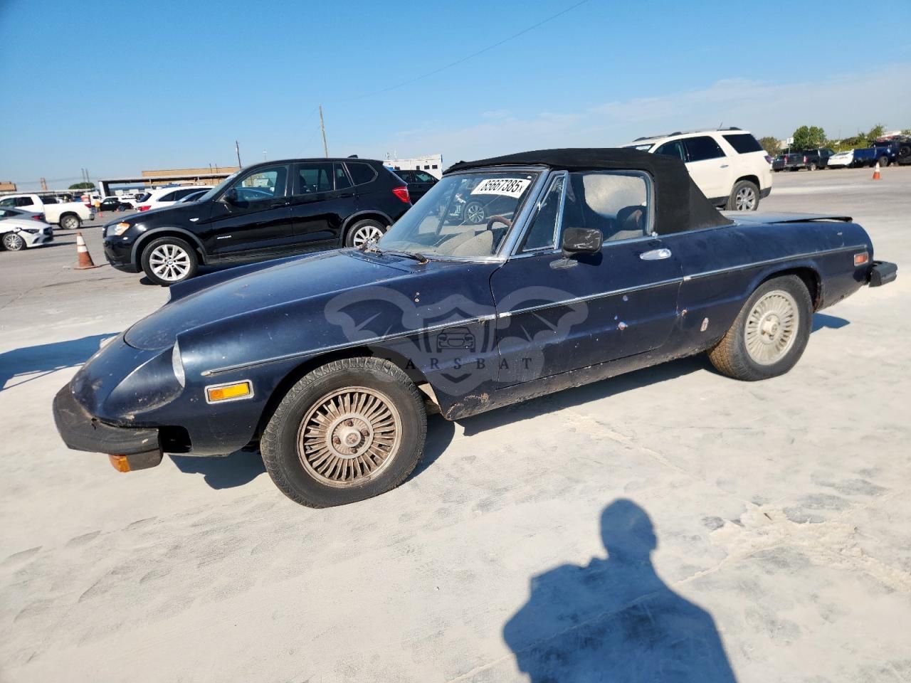Alfa Romeo Spider 1977