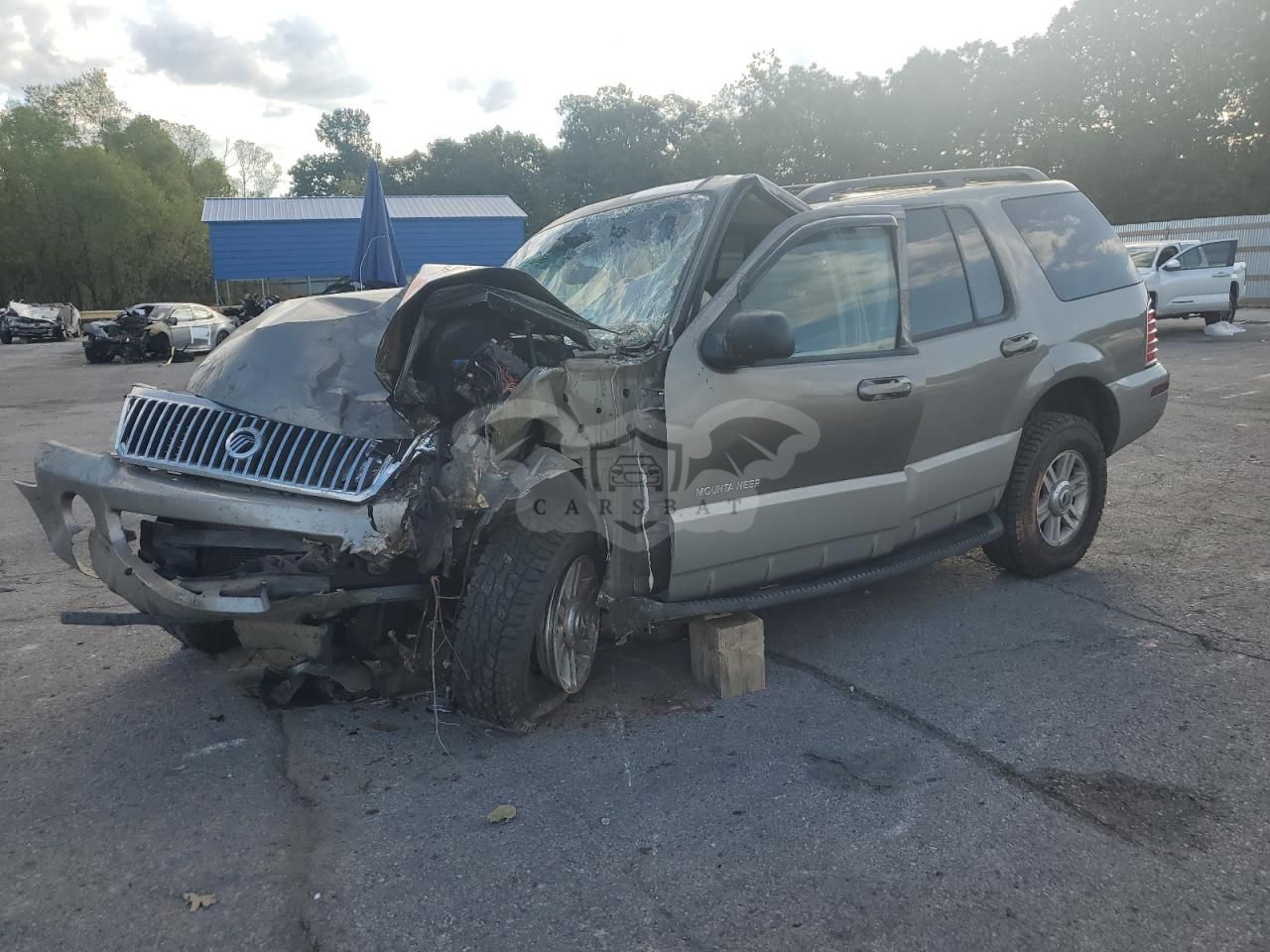 Mercury Mountaineer 4.6L 8 2002