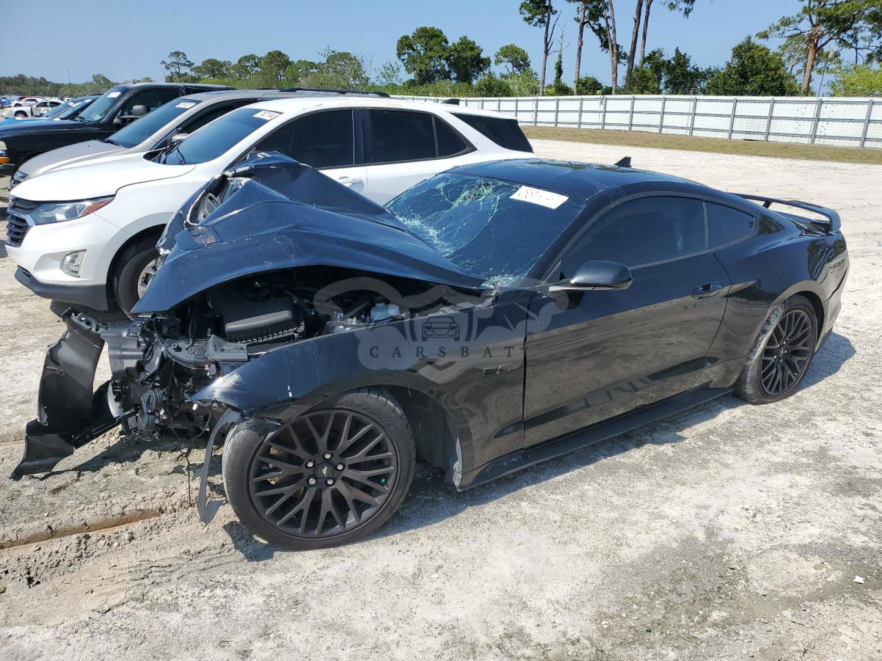 Ford Mustang GT 5.0L  8 2021