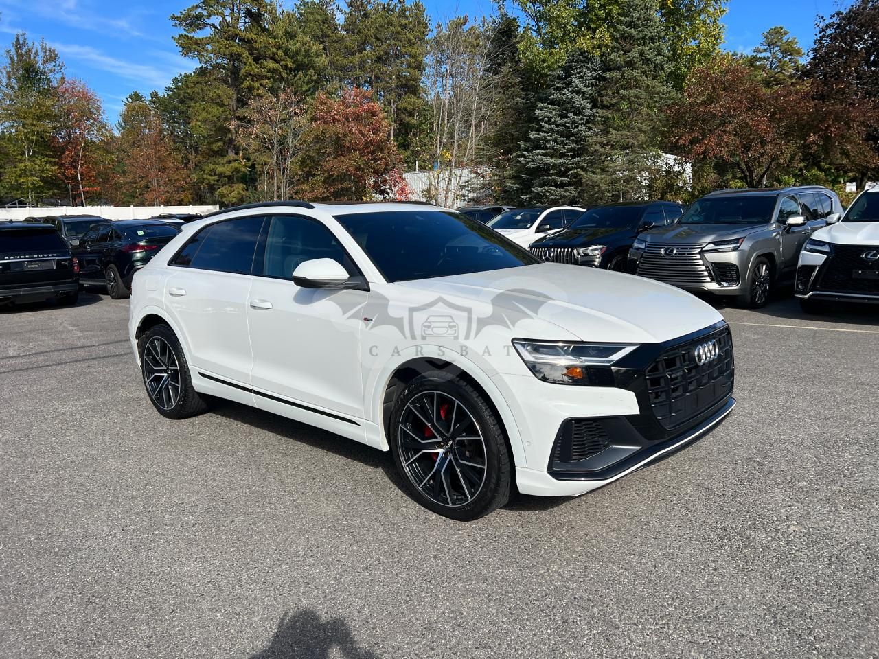 Audi Q8 PREMIUM PLUS S-LINE 3.0L 6 2019