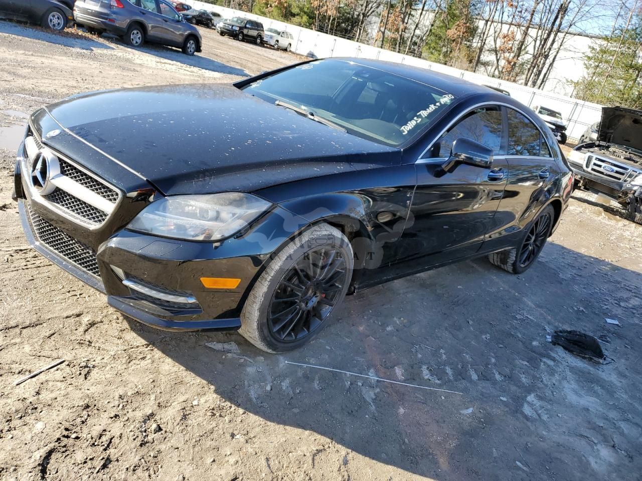 Mercedes-Benz CLS 4.6L 8 2013