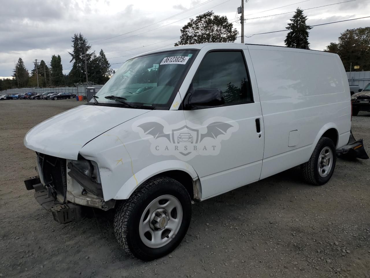Chevrolet Astro 4.3L 6 2005