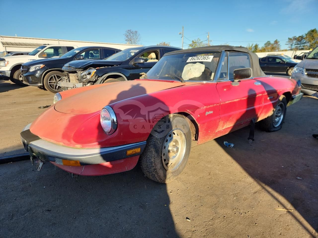 Alfa Romeo Spider GRADUATE 2.0L 4 1987