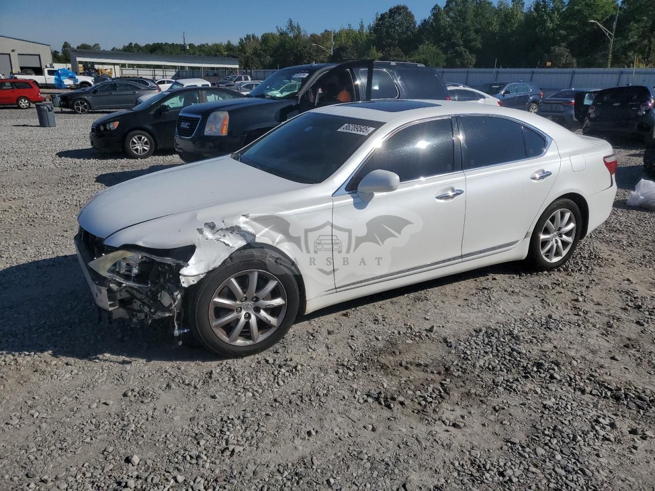 Lexus LS 460 4.6L 8 2008