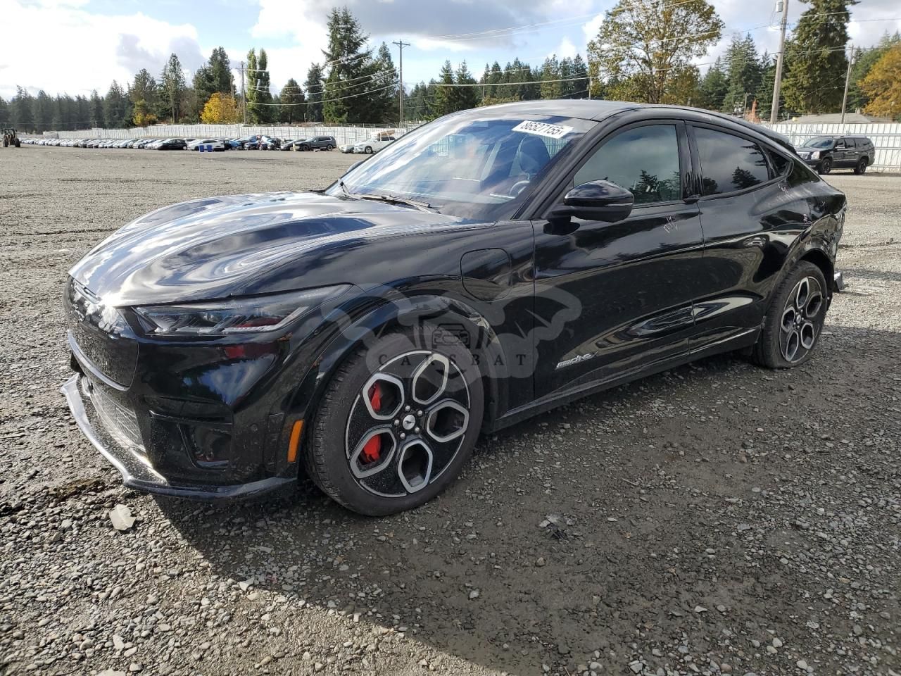 Ford Mustang Mach-E GT 2023
