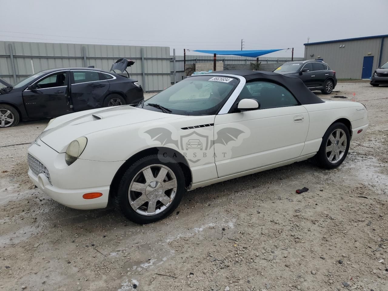 Ford Thunderbird 3.9L 8 2002