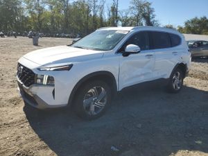 Hyundai Santa Fe SEL 2.5L 4 2023