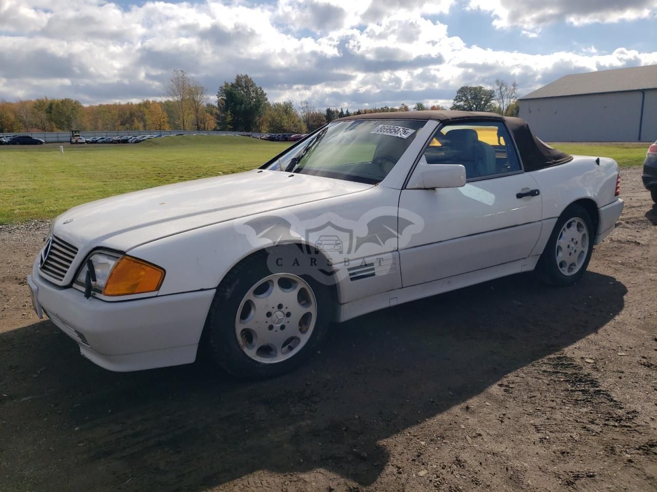 Mercedes-Benz SL 500 5.0L 8 1994