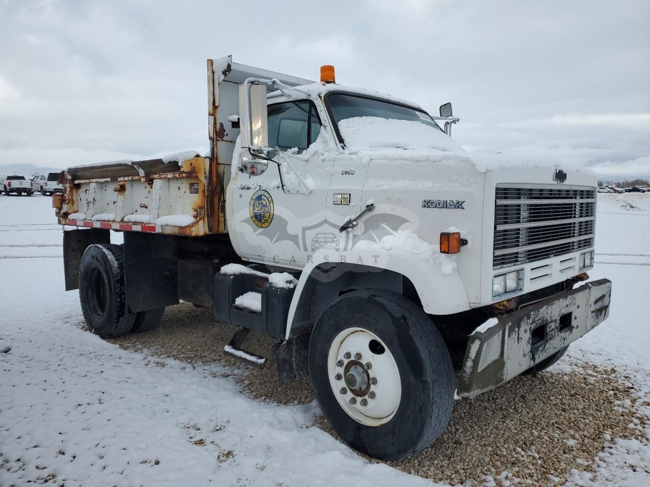 Chevrolet C/K 6500 C7D042 8 1990
