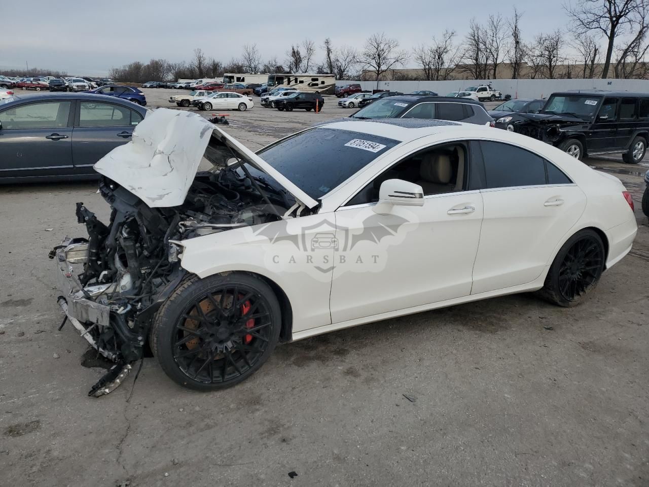 Mercedes-Benz CLS 4.6L 8 2014