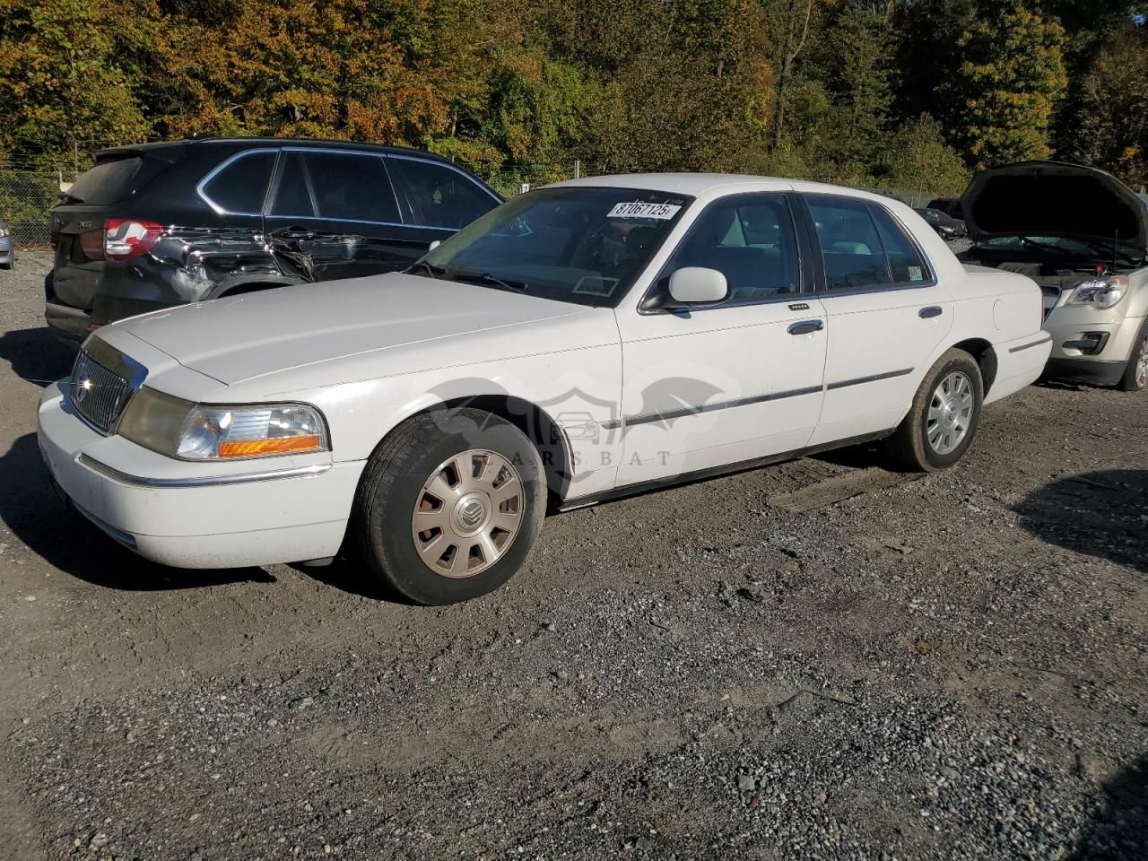 Mercury Grand Marquis LS 4.6L 8 2003