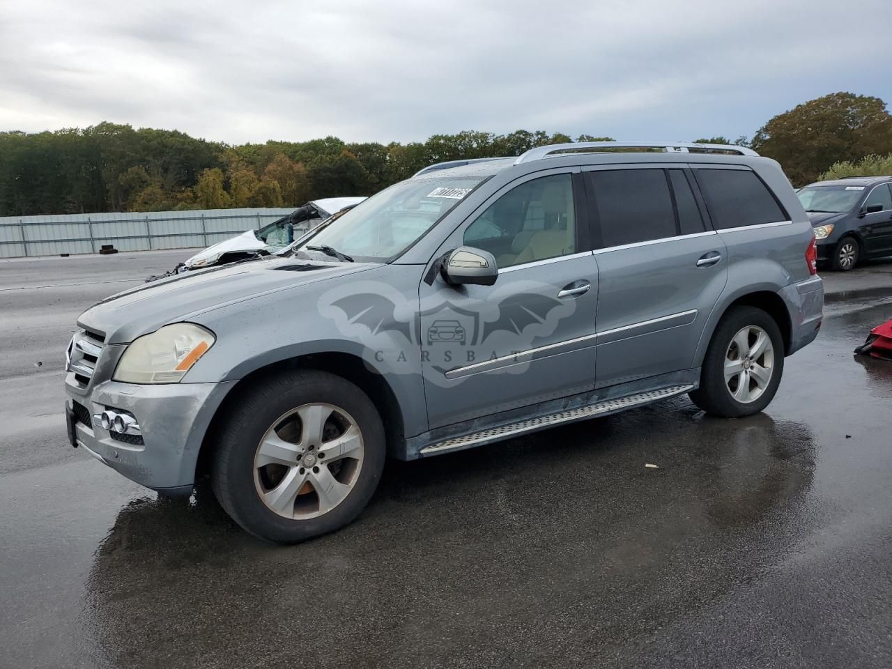 Mercedes-Benz GL 450 4MATIC 4.6L 8 2010