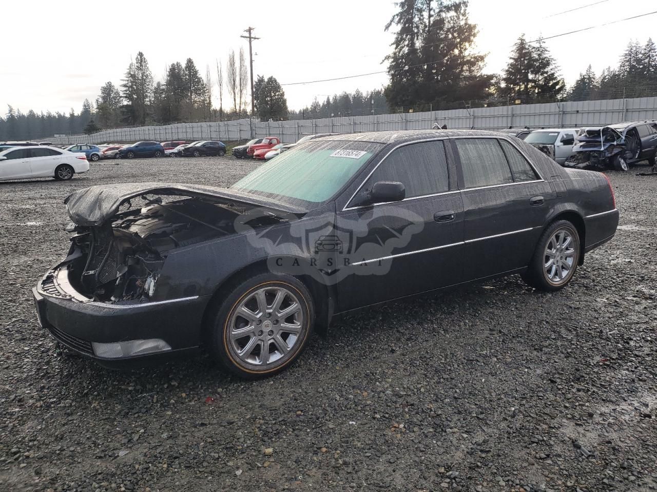 Cadillac DTS 4.6L 8 2007