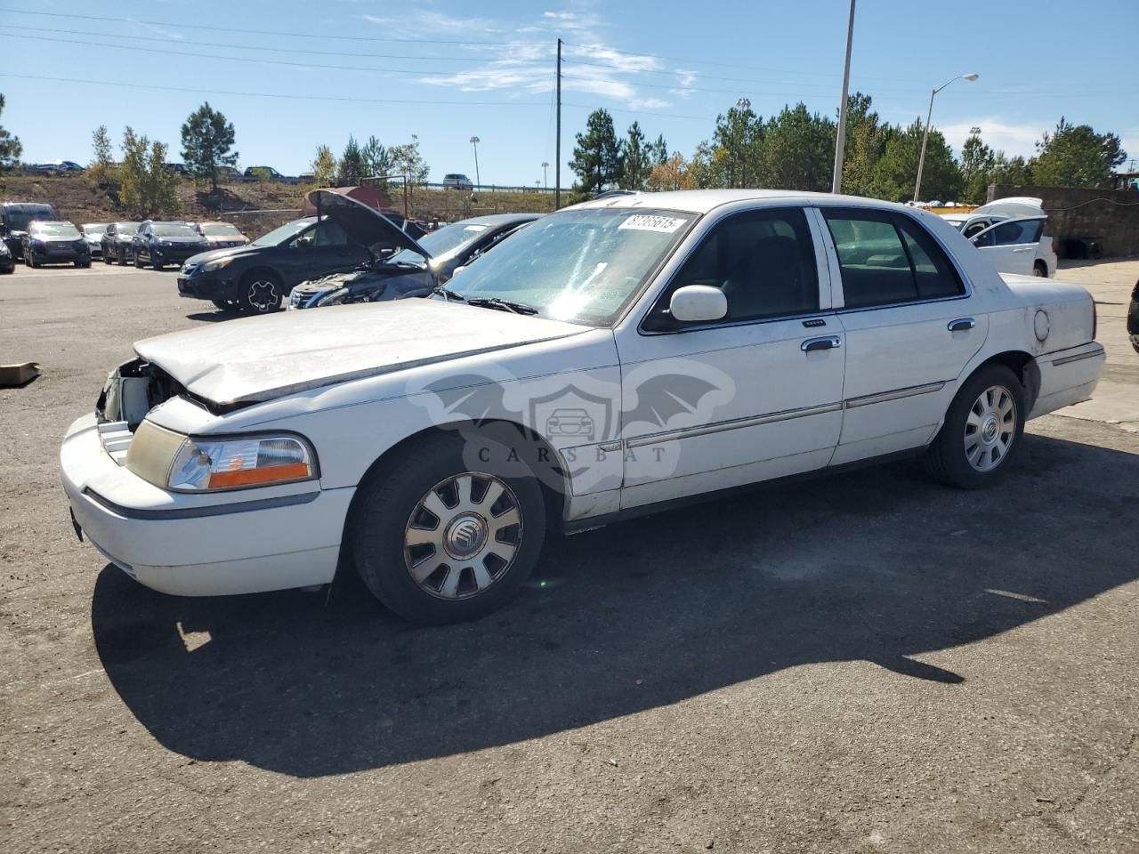 Mercury Grand Marquis LS 4.6L 8 2003