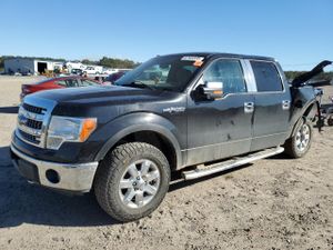 Ford F-150 SUPERCREW 5.0L 8 2014