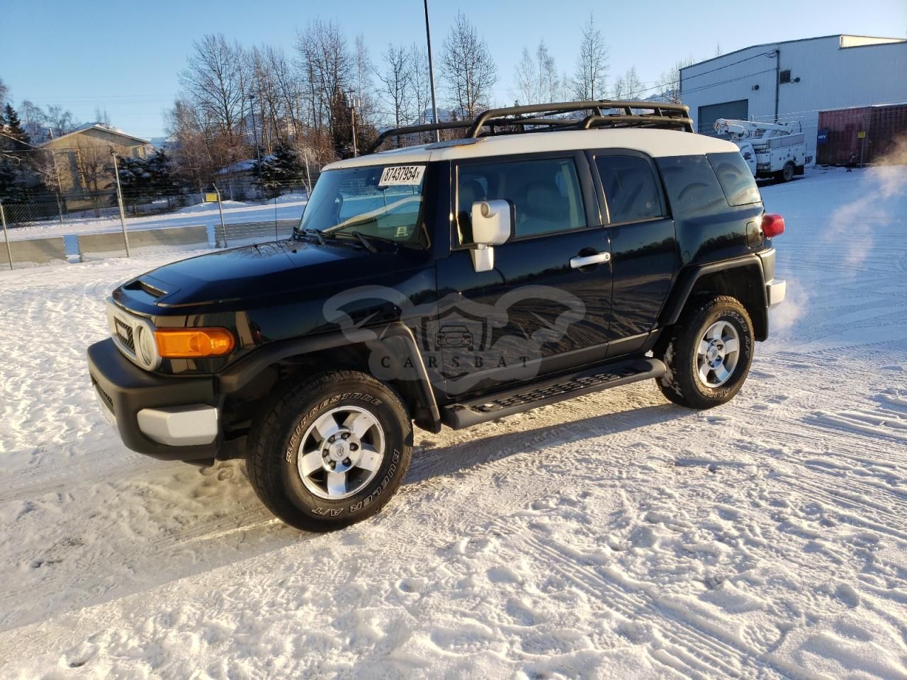 Toyota FJ Cruiser 4.0L 6 2010