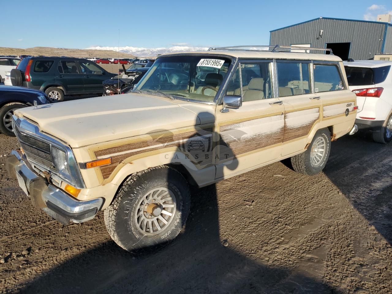 Jeep Wagoneer 5.9L 8 1989