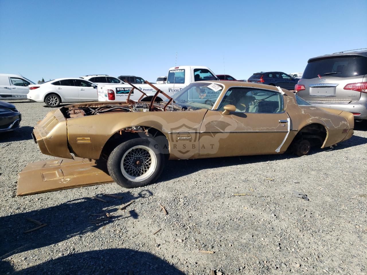 Pontiac Firebird 5.0L 8 1981