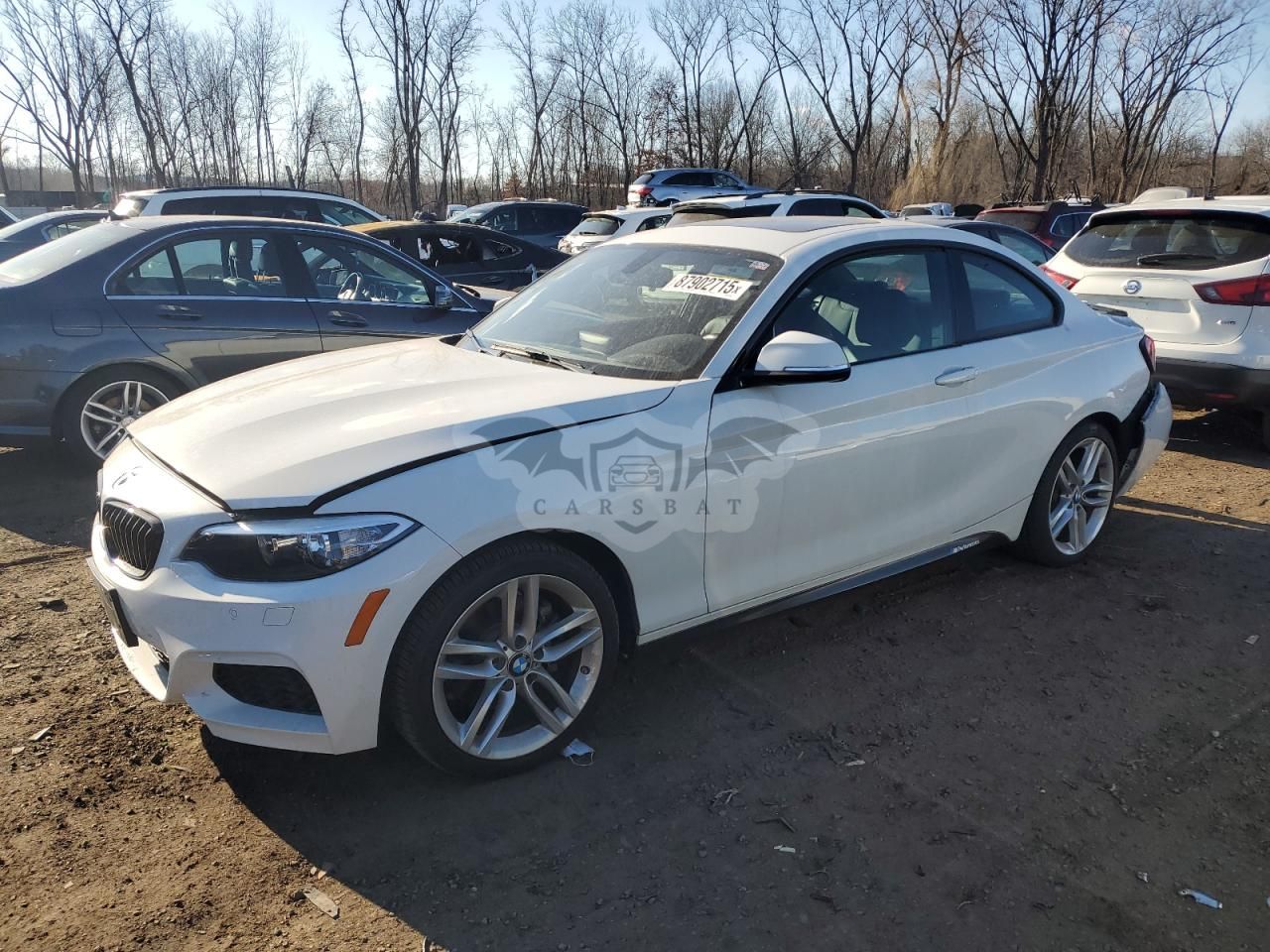 BMW 2 Series XI 2.0L 4 2015