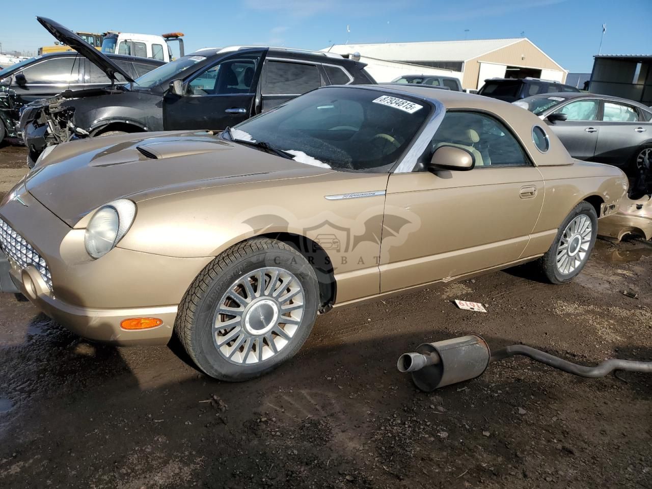 Ford Thunderbird 3.9L 8 2005