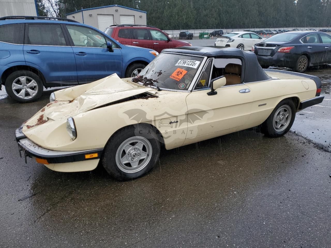 Alfa Romeo Spider GRADUATE 2.0L 4 1987