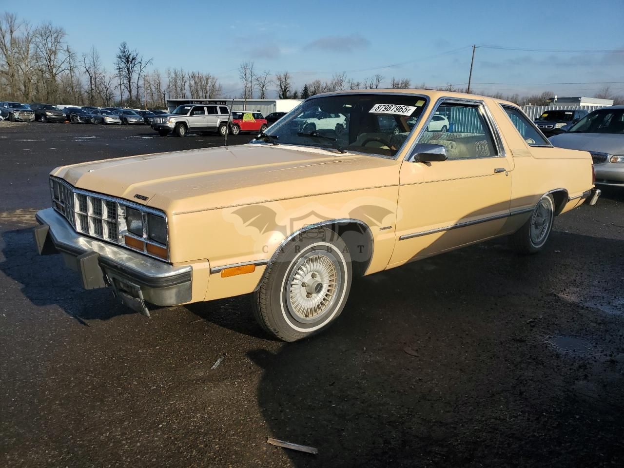 Ford Fairmont 1979