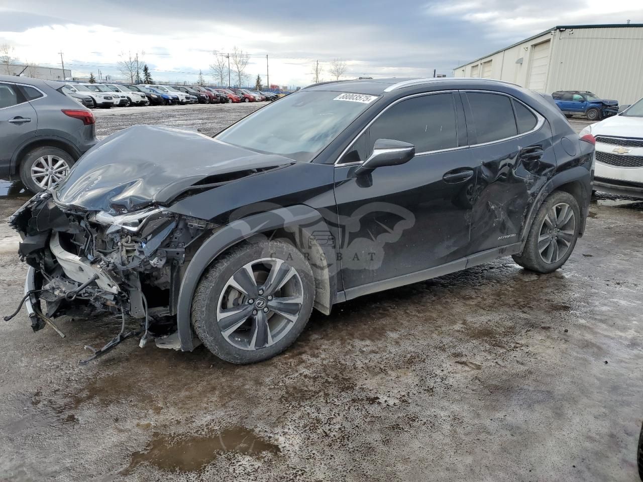 Lexus UX 250H 2.0L 4 2019
