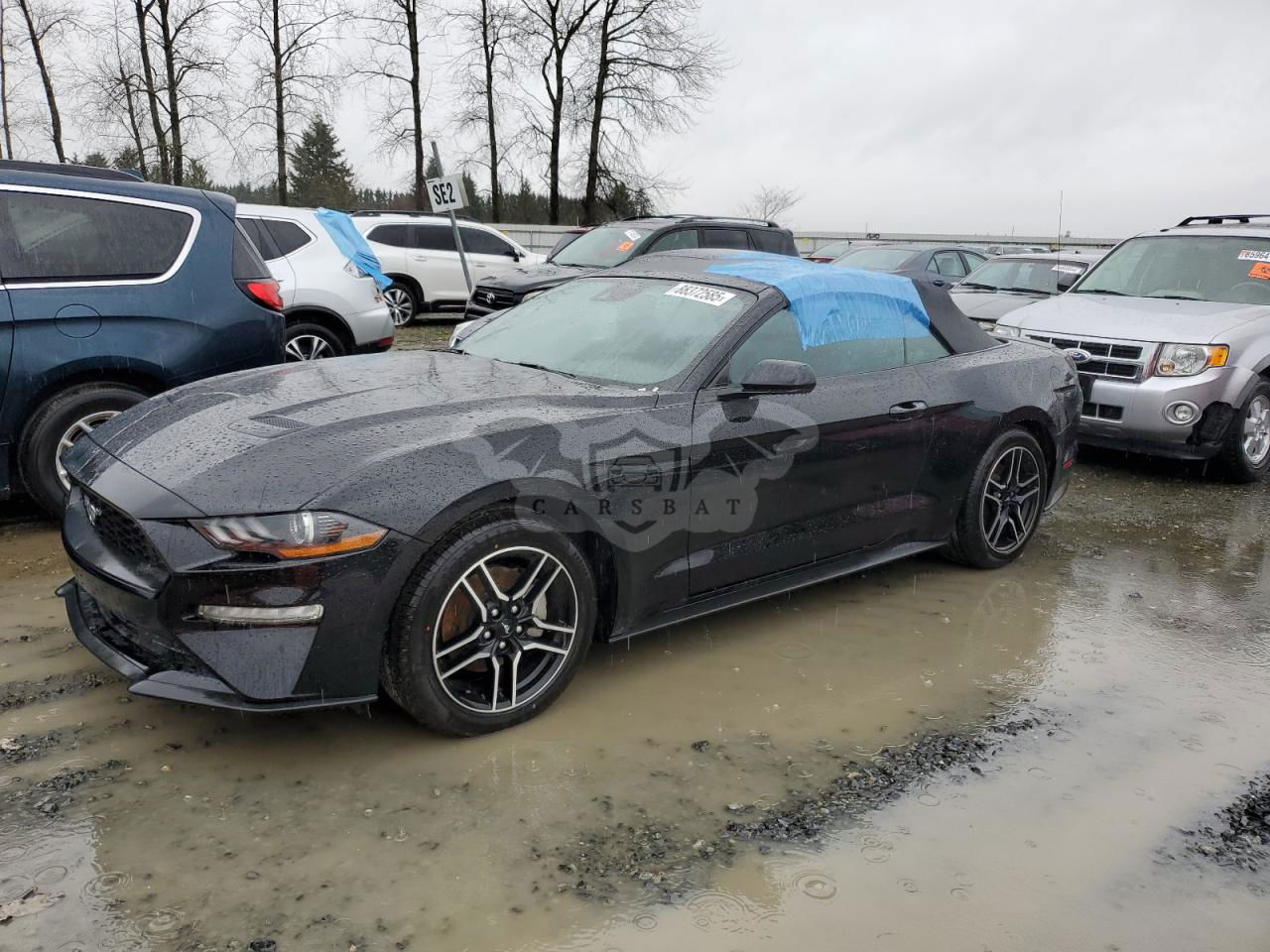 Ford Mustang 2.3L  4 2023