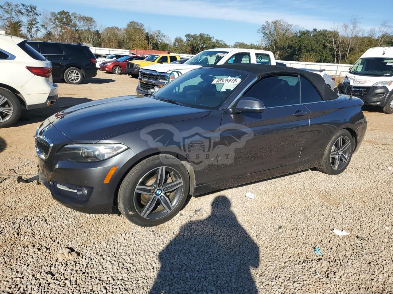 BMW 2 Series 2.0L 4 2017