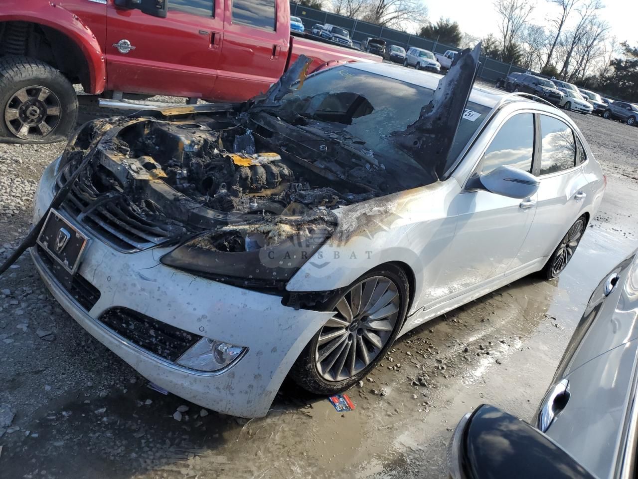 Hyundai Equus SIGNATURE 5.0L 8 2014