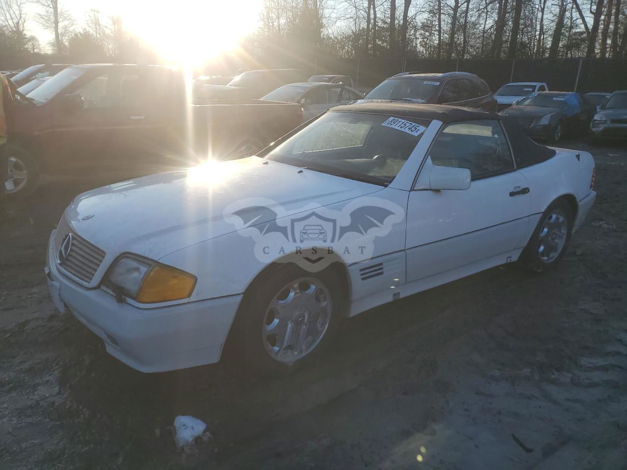 Mercedes-Benz SL 500 5.0L  8 1994