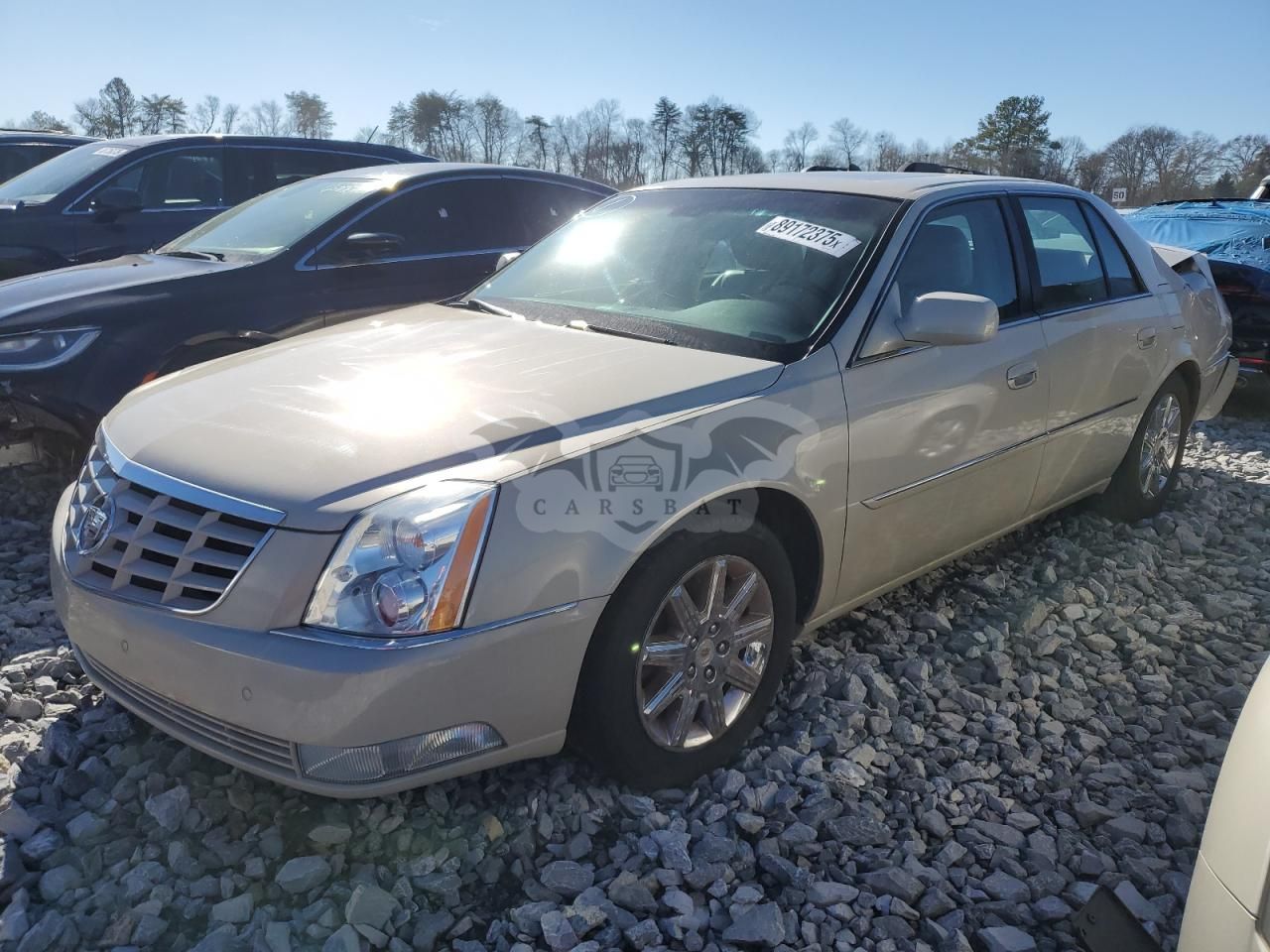 Cadillac DTS PREMIUM COLLECTION 4.6L 8 2010