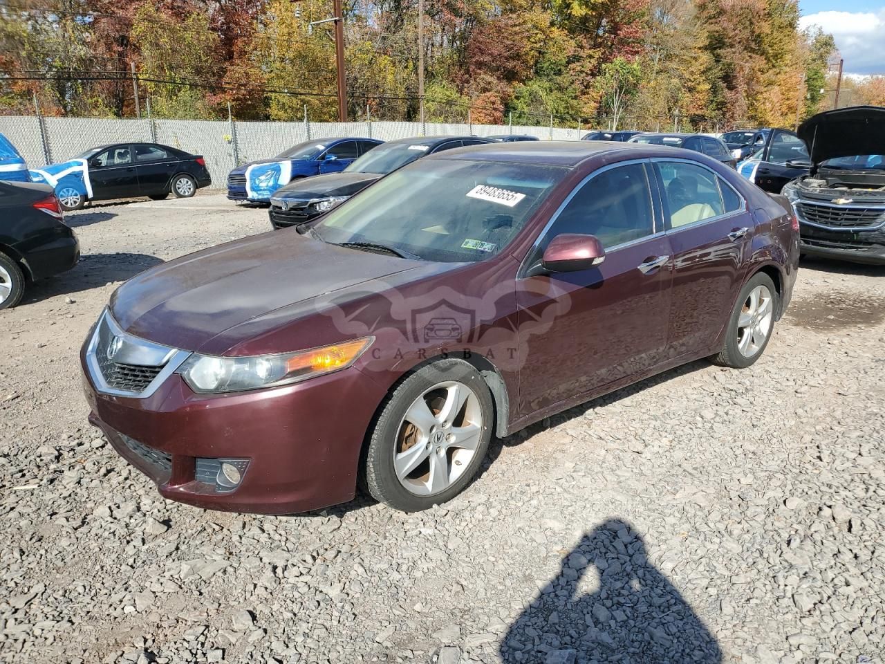 Acura TSX 2.4L 4 2010