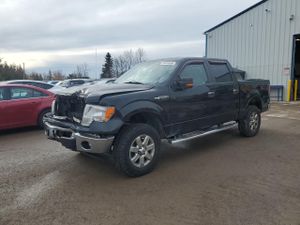 Ford F-150 SUPERCREW 5.0L 8 2014