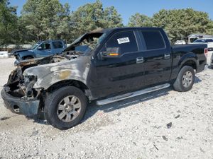 Ford F-150 4.6L 8 2009