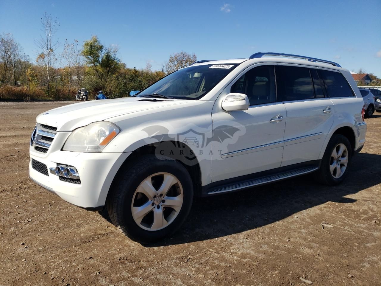Mercedes-Benz GL 450 4MATIC 4.6L 8 2010