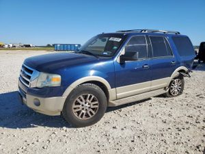 Ford Expedition EDDIE BAUER 5.4L 8 2010