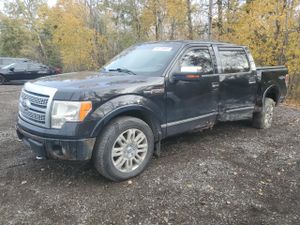 Ford F-150 SUPERCREW 5.4L 8 2010