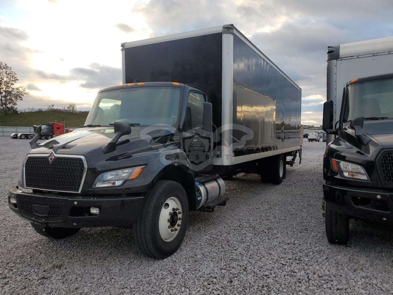 International MV Series 6.7L 6 2024