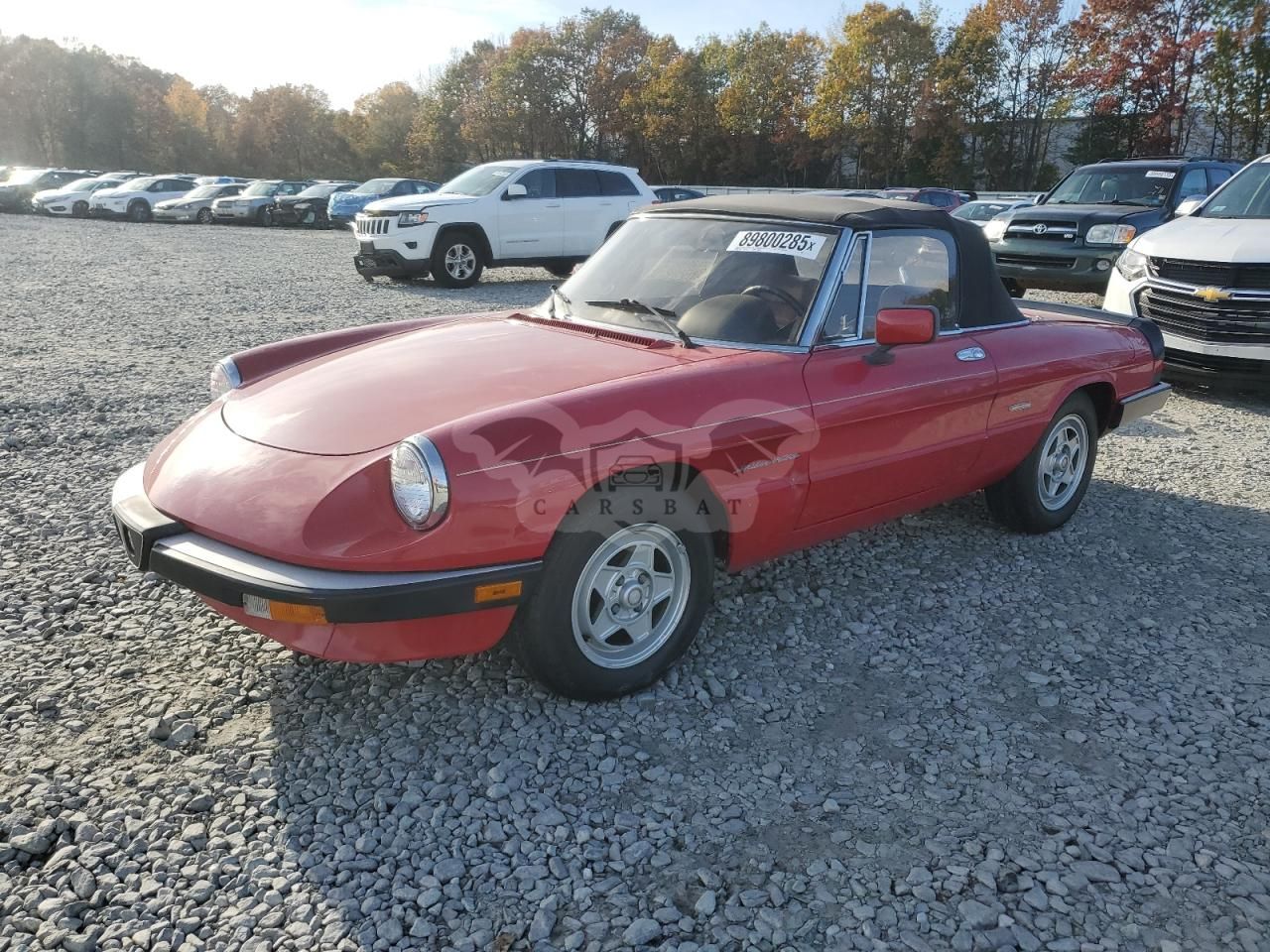 Alfa Romeo Spider 1989