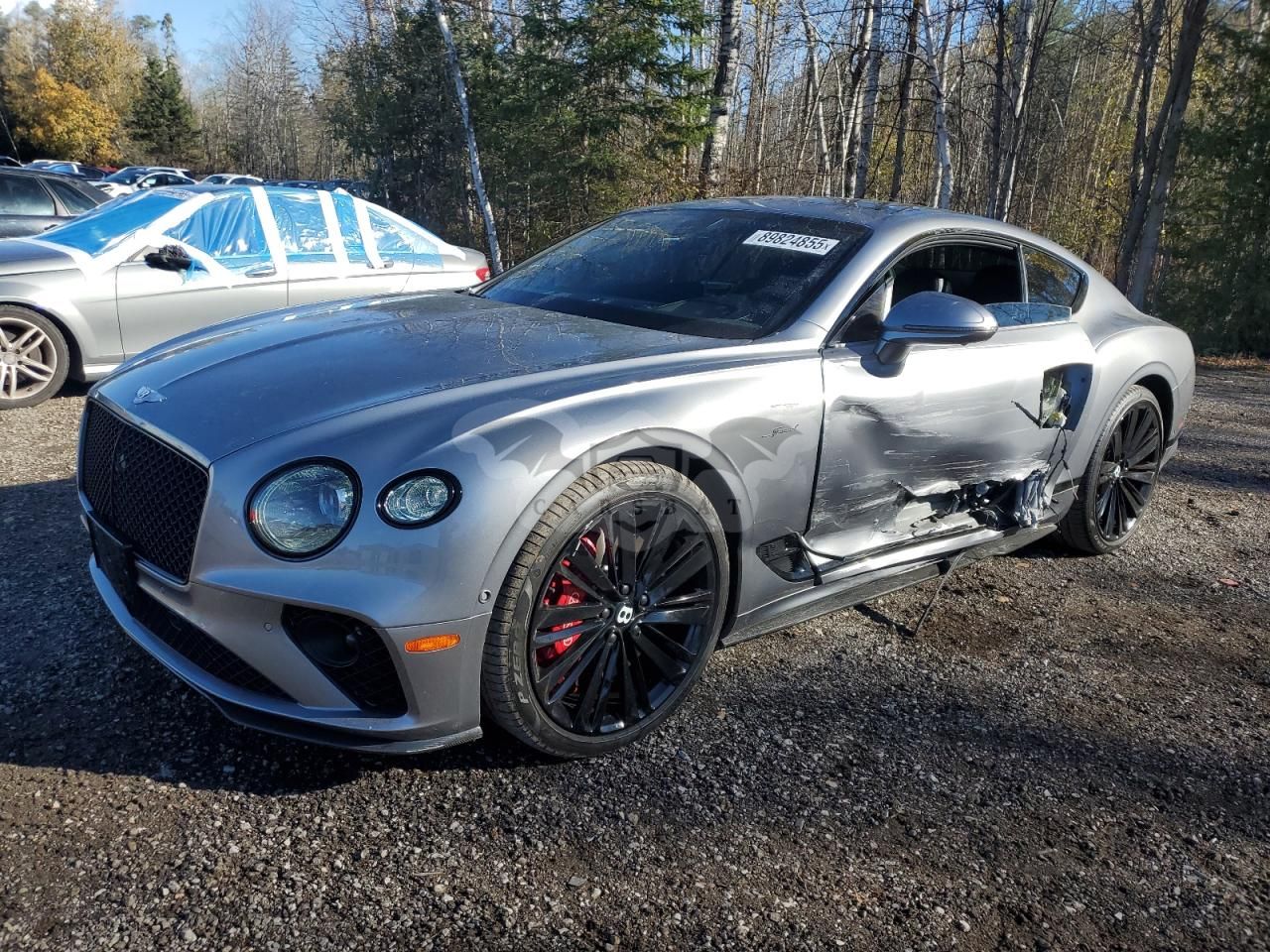 Bentley Continental GT SPEED 6.0L 12 2022