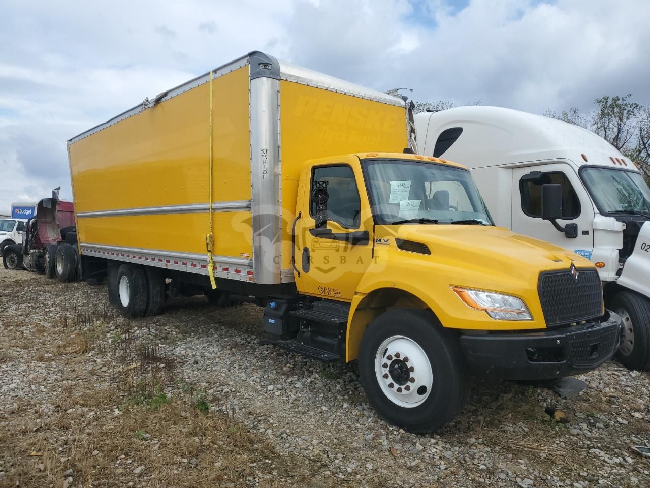 International MV Series 6.7L 6 2024