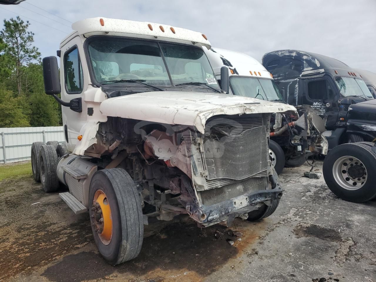 Freightliner Cascadia 14.9L 6 2015