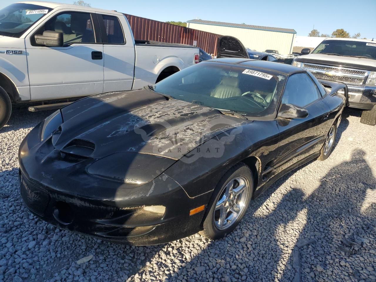 Pontiac Firebird FORMULA 5.7L 8 1999