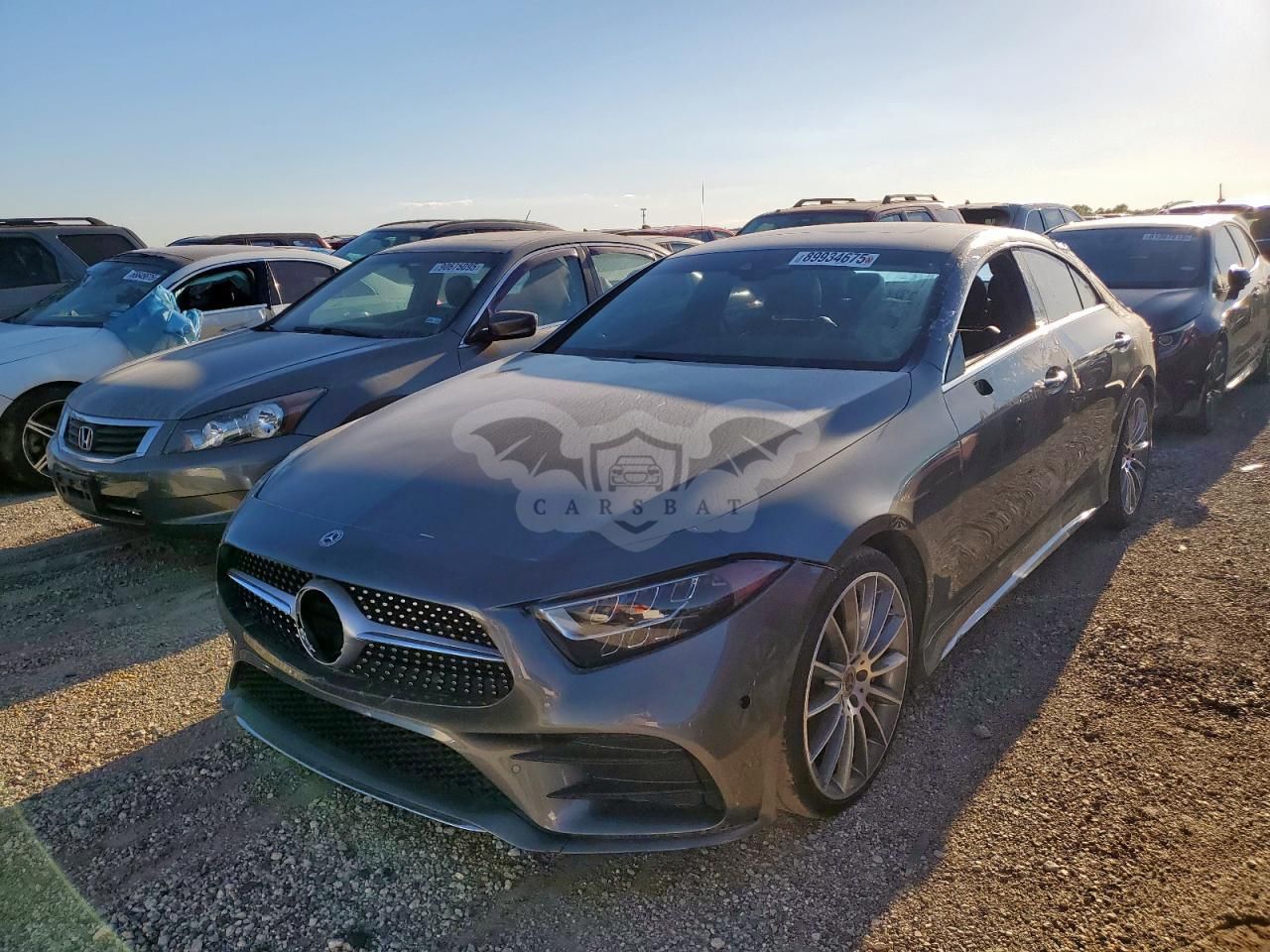 Mercedes-Benz CLS 450 3.0L 6 2019