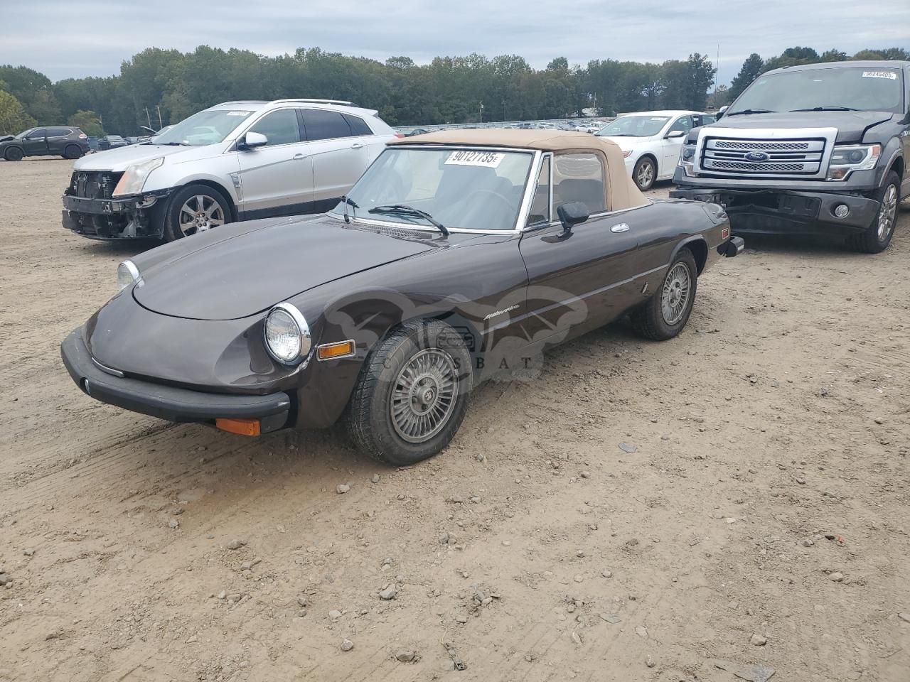 Alfa Romeo Spider 1980