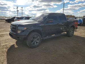 Ford F-150 SUPERCREW 6.2L 8 2013